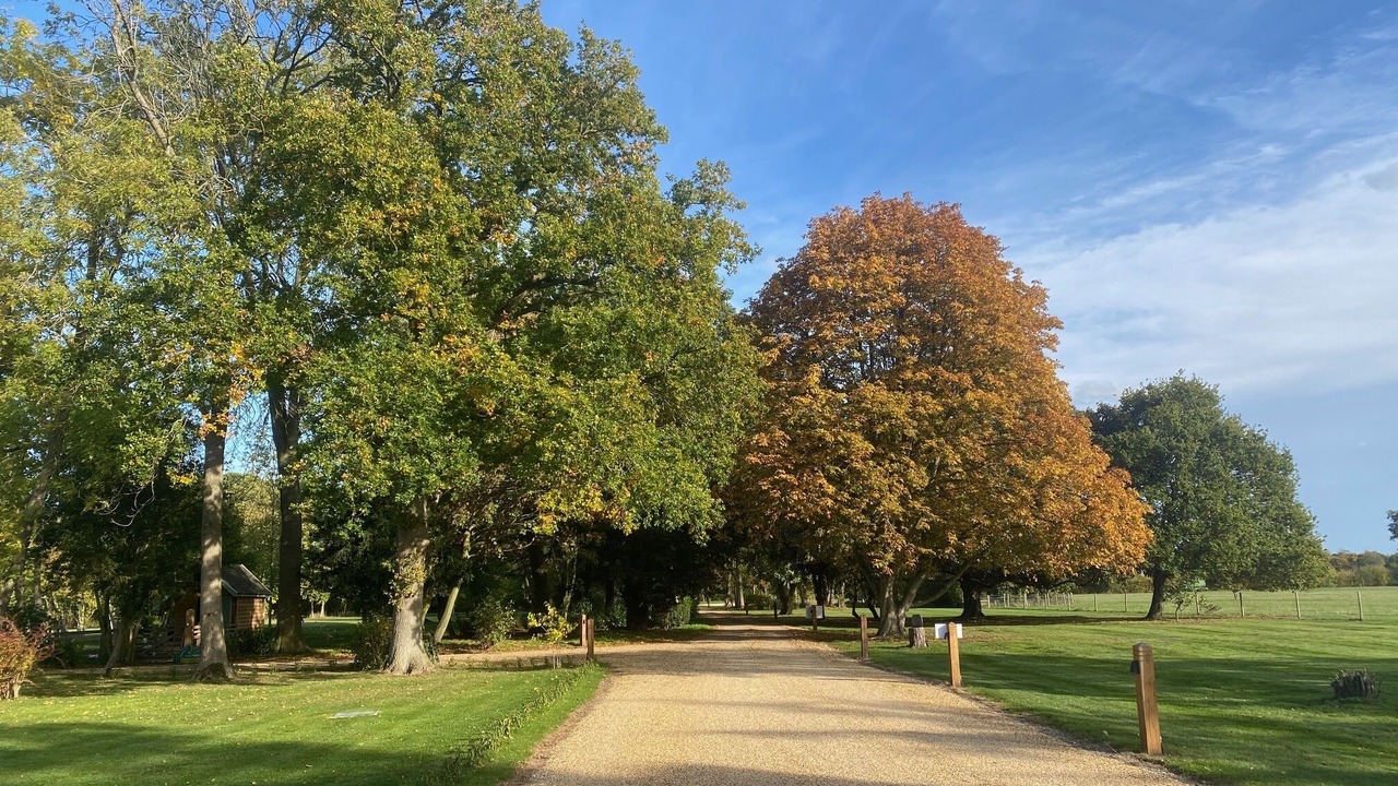 Photo of Outdoor in East Dereham