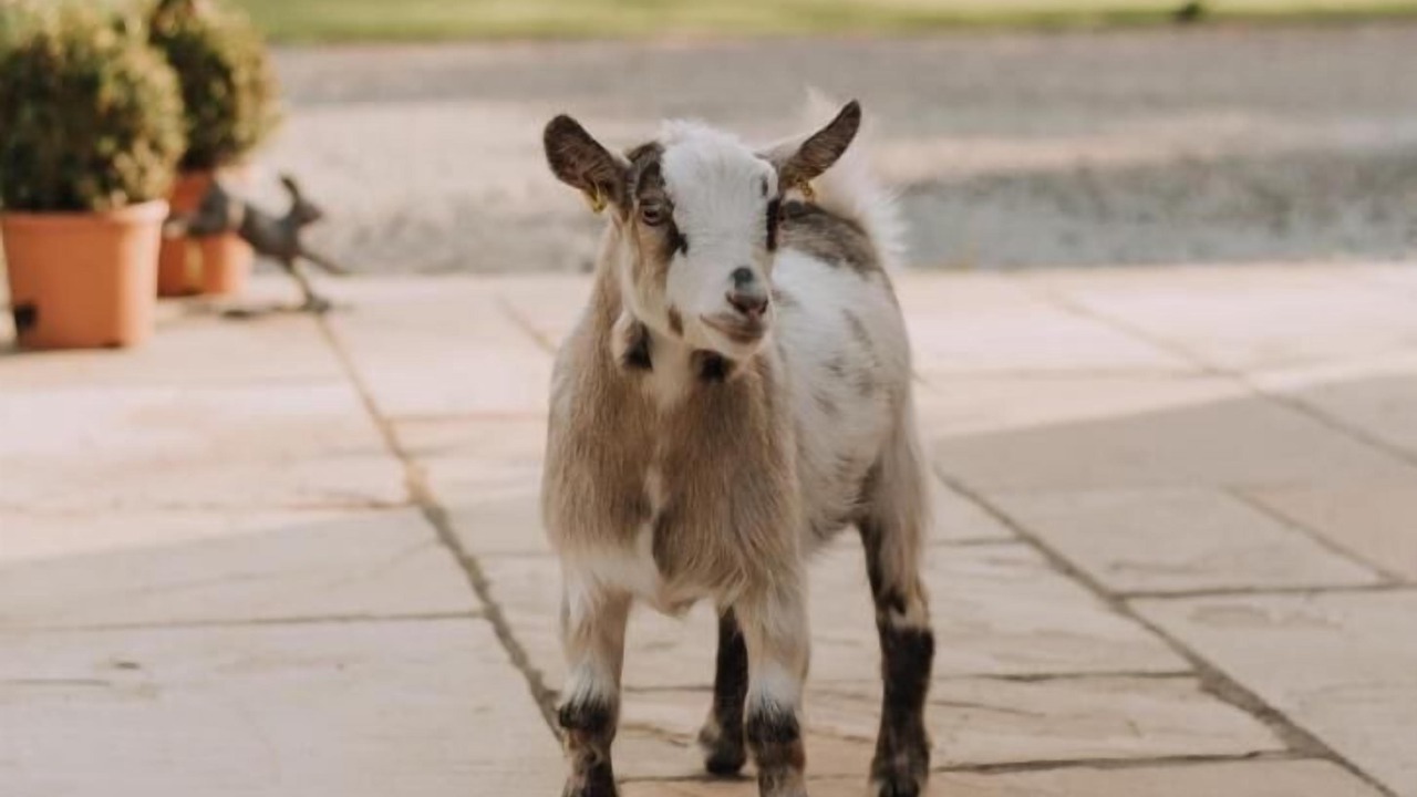 Photo of Outdoor in East Dereham