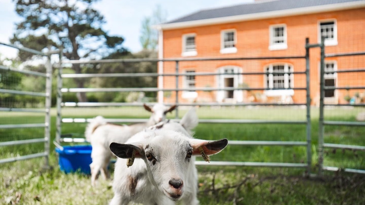 Photo of Outdoor in East Dereham