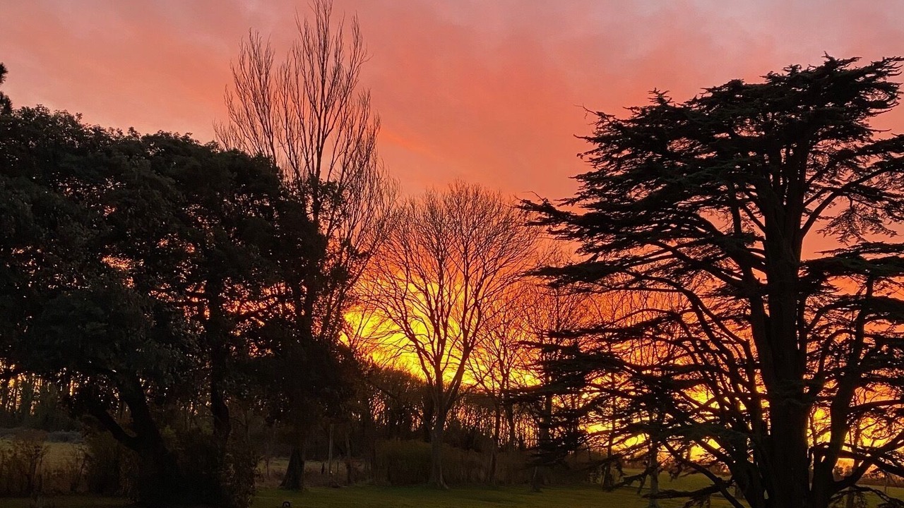 Photo of Outdoor in East Dereham