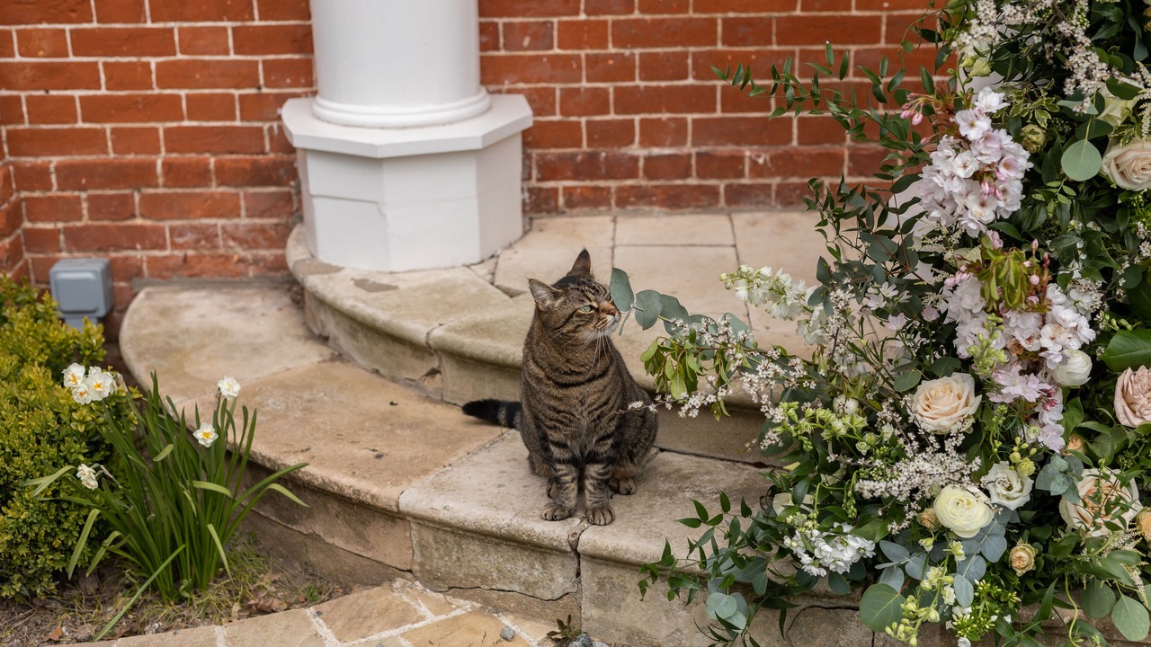 Photo of Outdoor in East Dereham