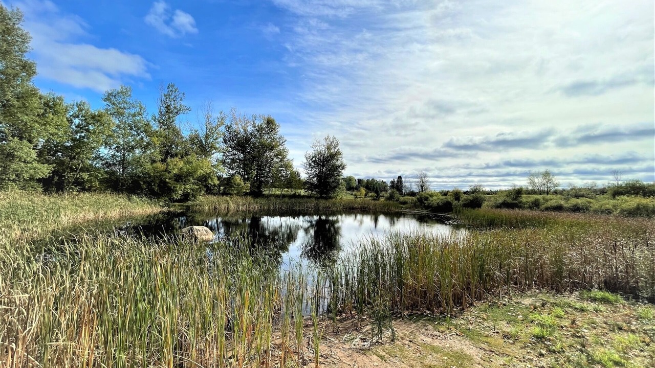 Photo of Outdoor in Glidden