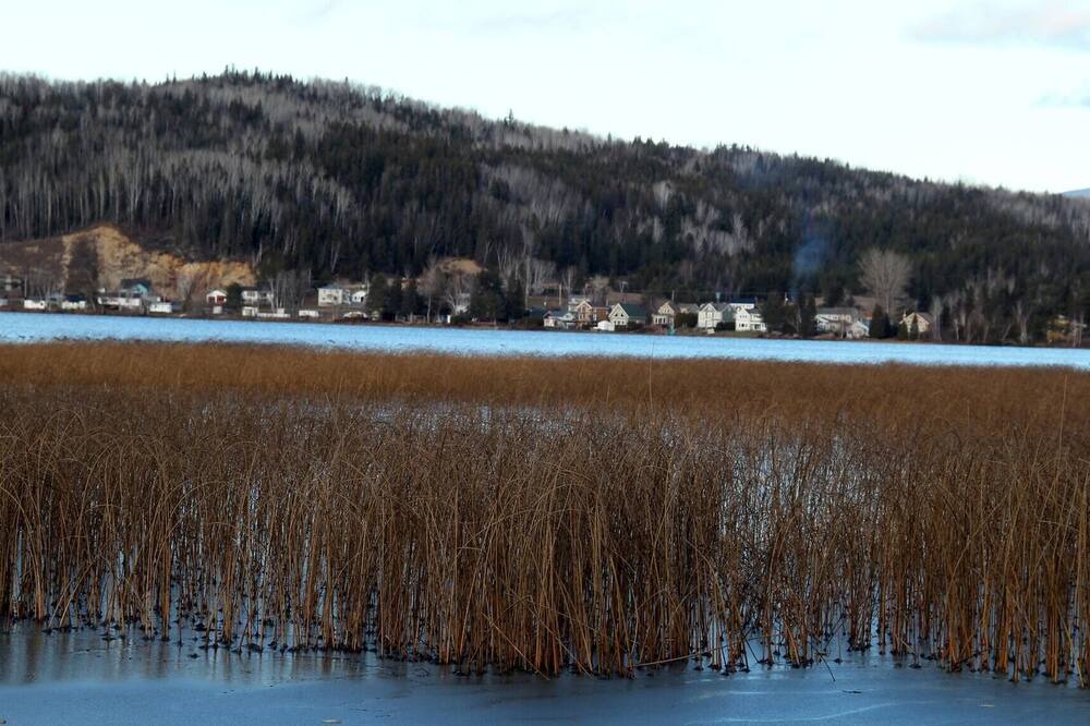 Photo of Others in Notre-Dame-des-Monts