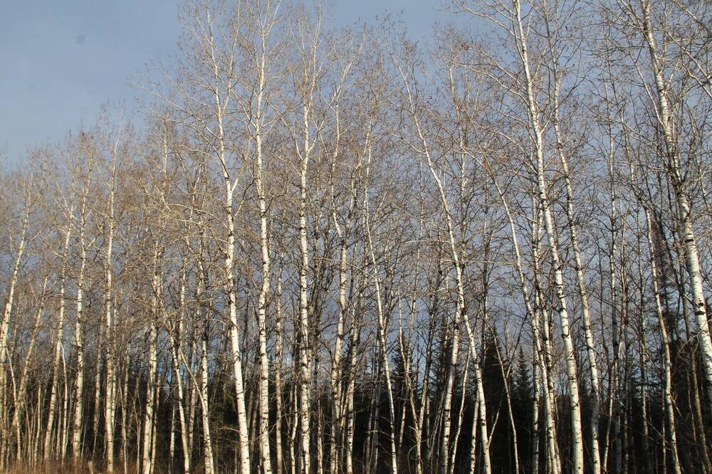 Photo of Outdoor in Notre-Dame-des-Monts