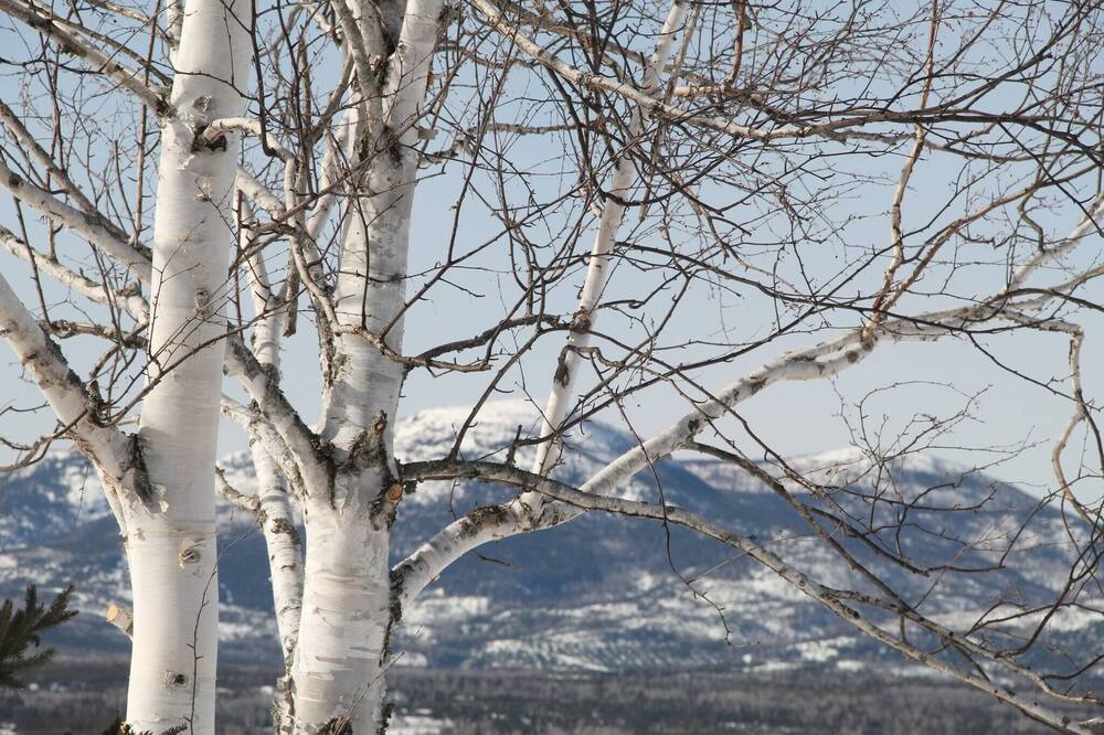 Photo of Outdoor in Notre-Dame-des-Monts