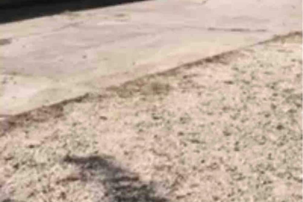 Photo of Others in East Prairie
