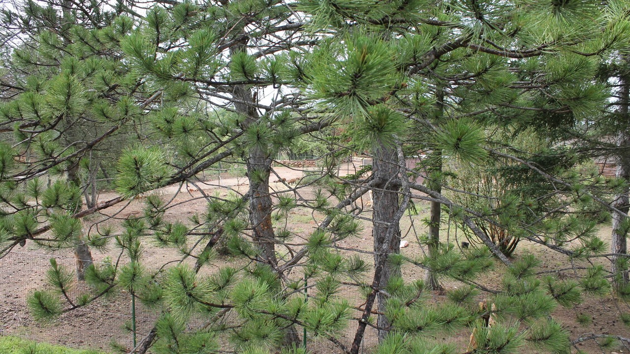 Photo of Outdoor in Ginasservis
