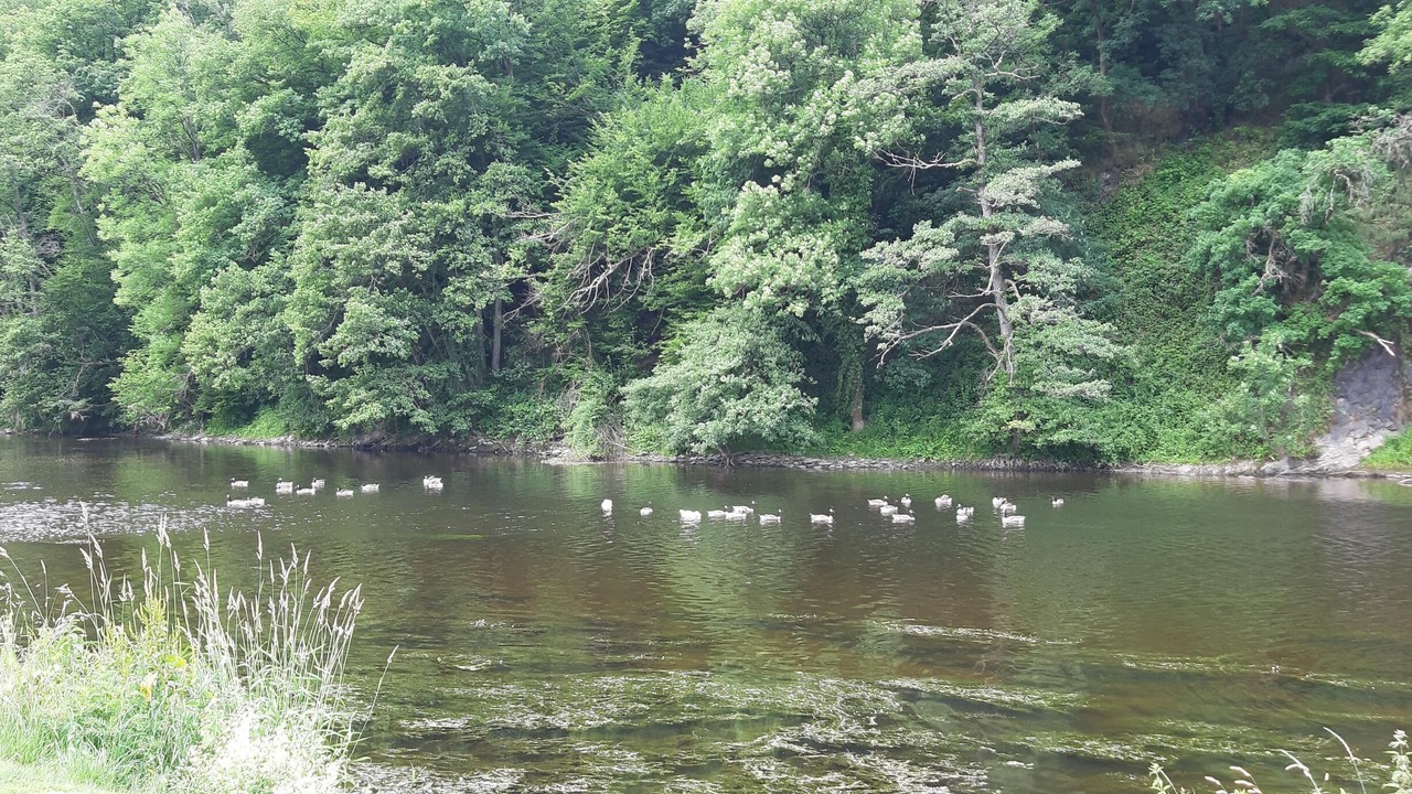 Photo of Outdoor in Les Hautes-Rivieres