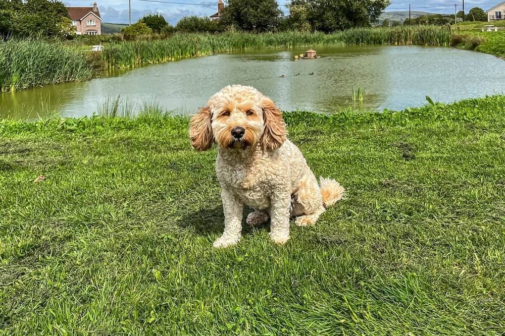 Photo of Others in Edingworth