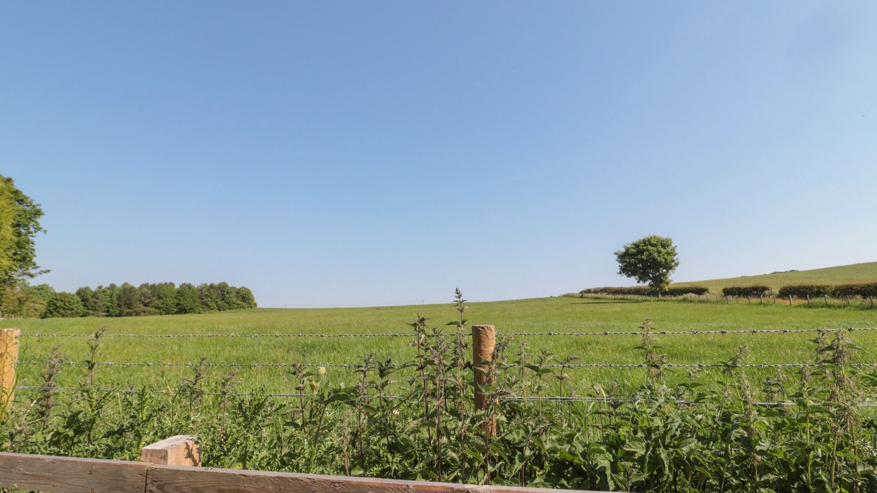 Photo of Others in Belford