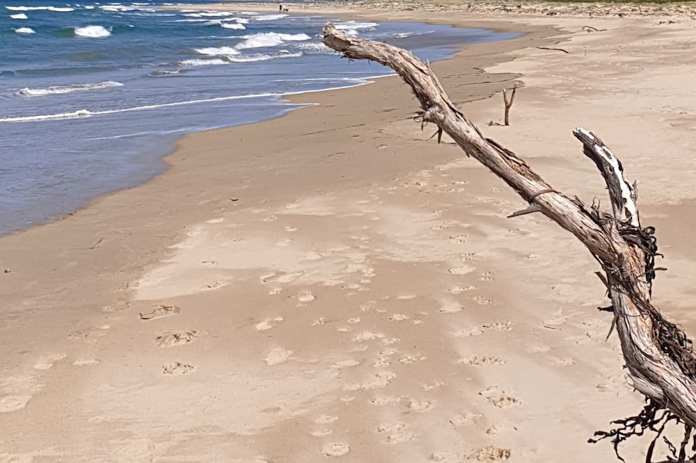 Photo of Others in Bena