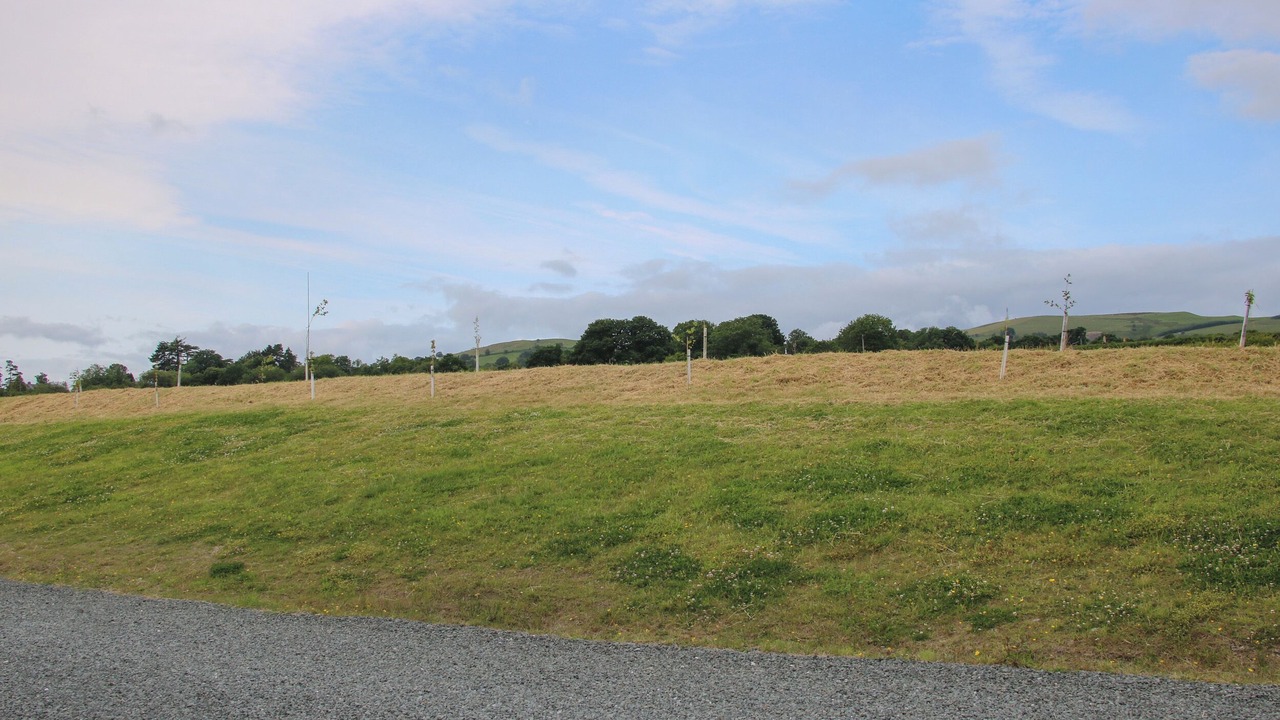 Photo of Others in Llanyre