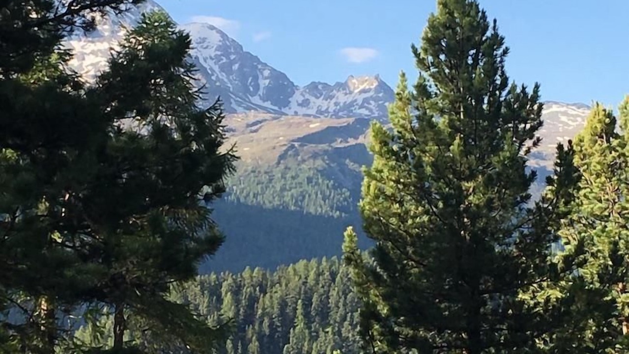 Photo of Others in Champfer