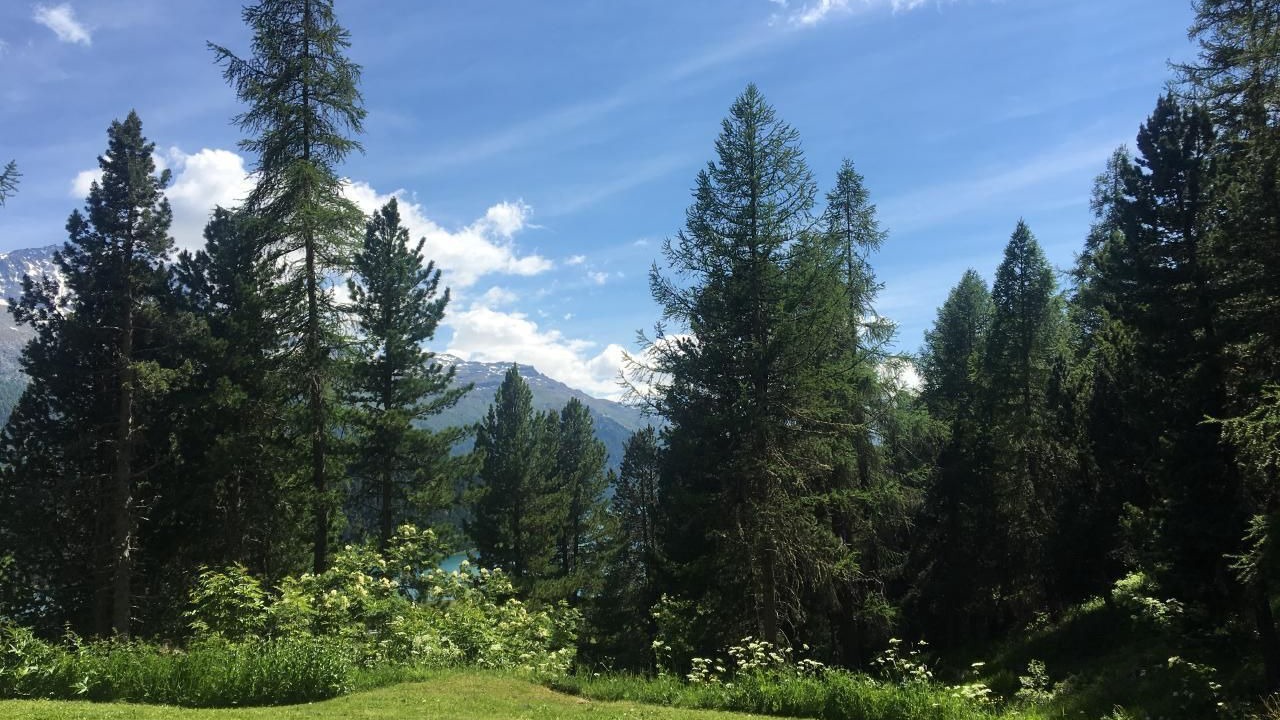 Photo of Others in Champfer