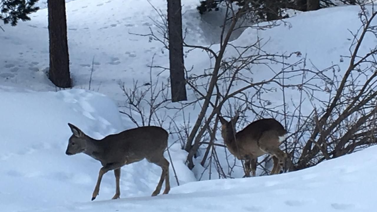 Photo of Others in Champfer