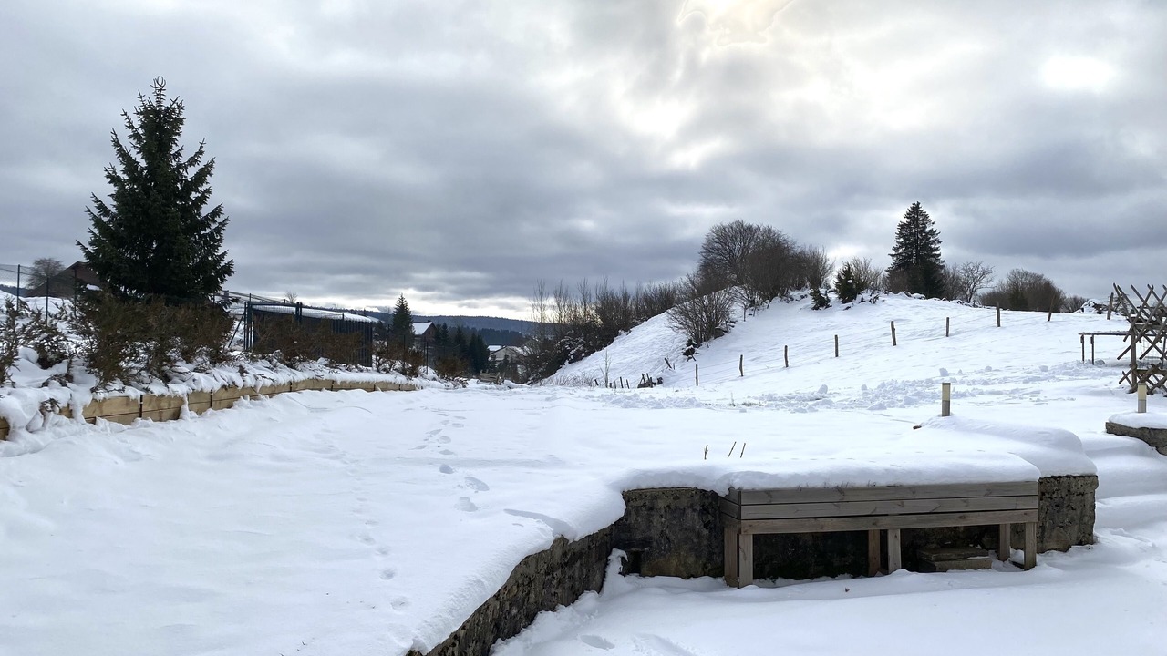 Photo of Others in Saint-Pierre