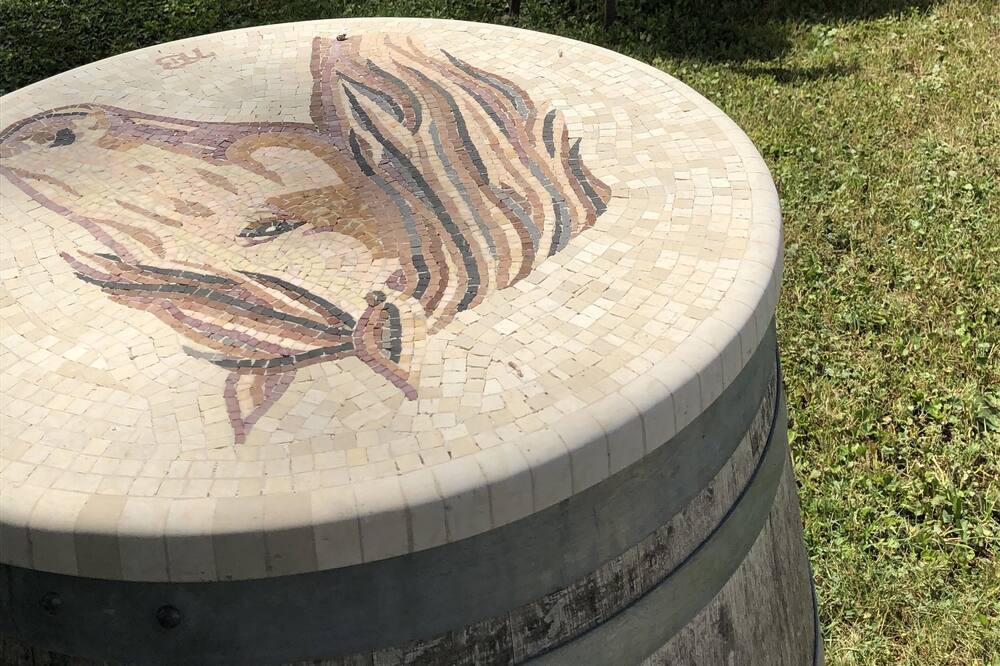 Photo of Outdoor in Jonquieres-Saint-Vincent