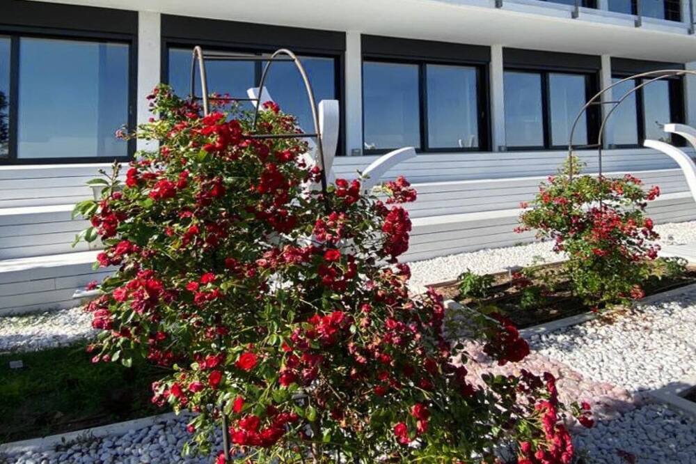 Photo of Outdoor in Mas Ram