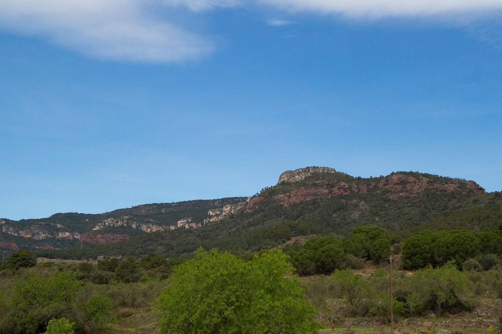 Photo of Outdoor in Alforja