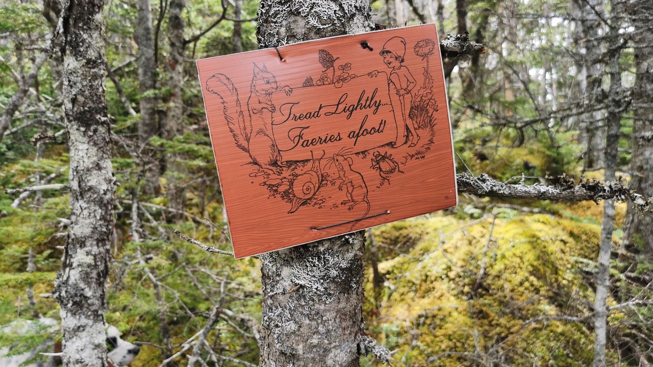 Photo of Others in New Perlican