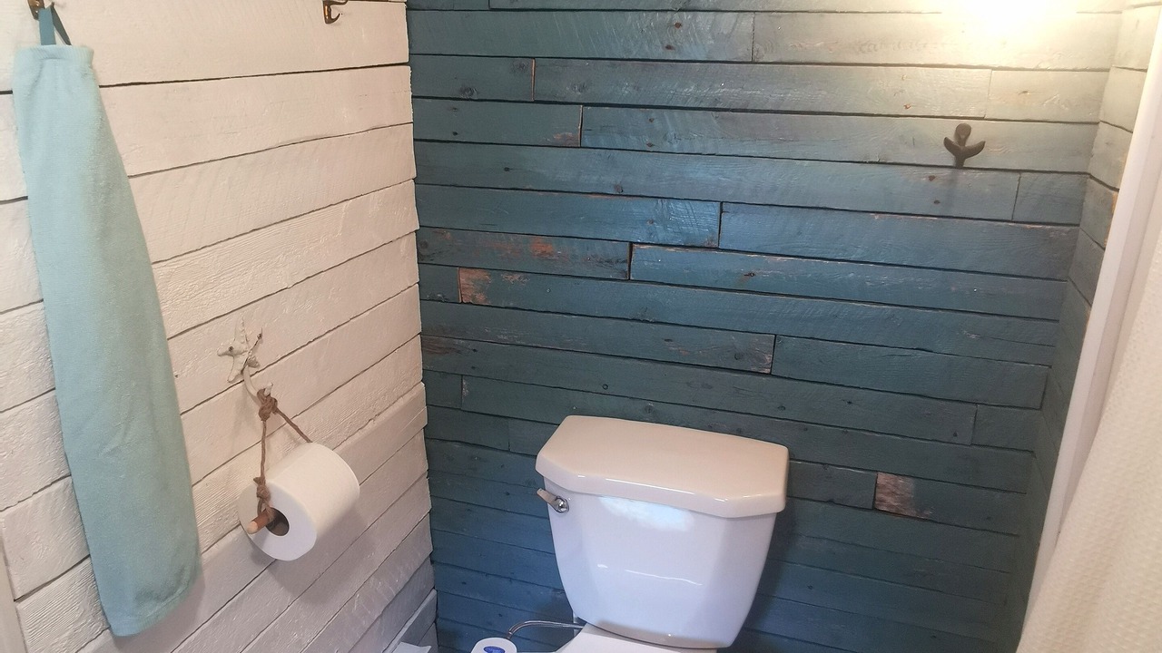 Photo of Others in New Perlican