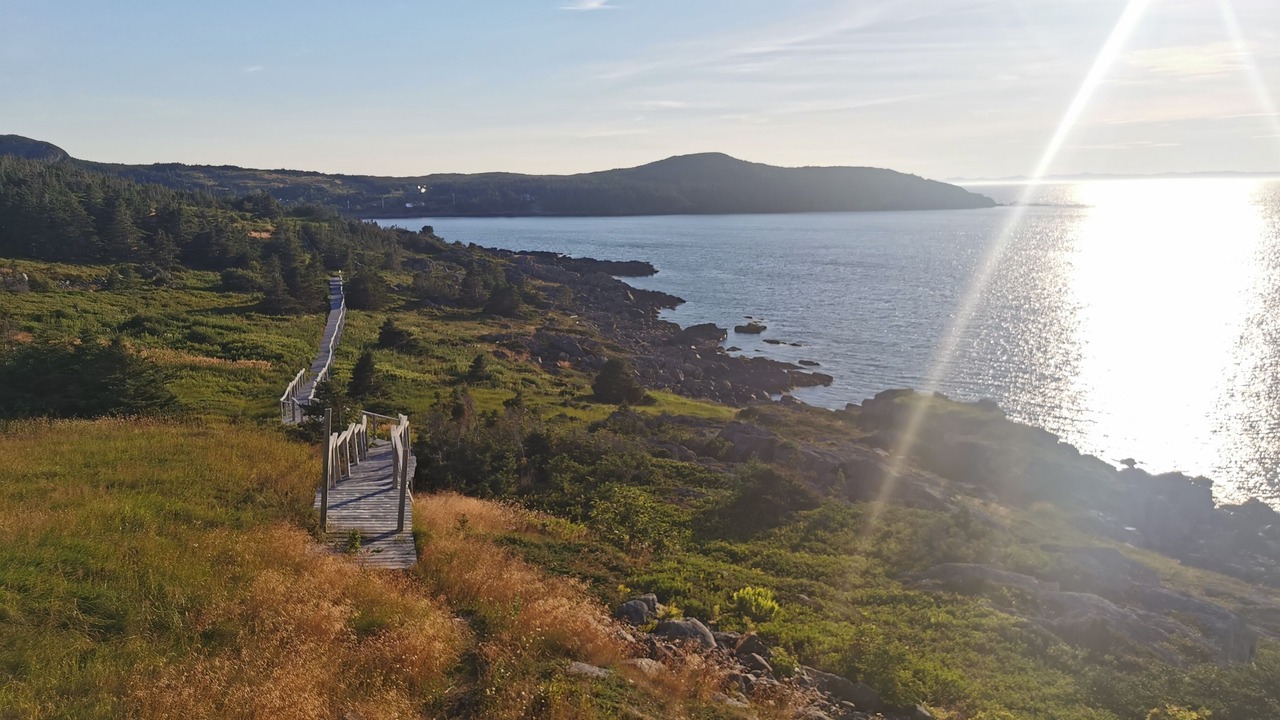 Photo of Others in New Perlican