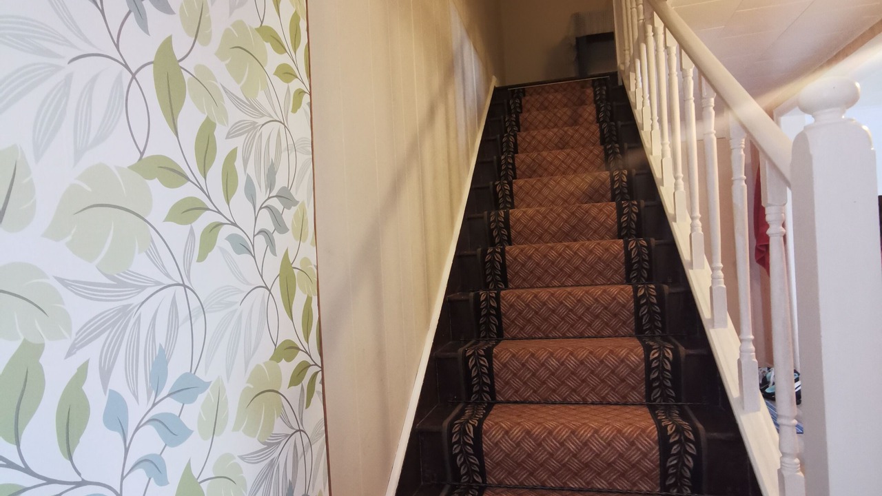 Photo of Others in New Perlican