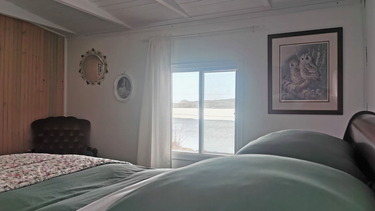 Photo of Others in New Perlican