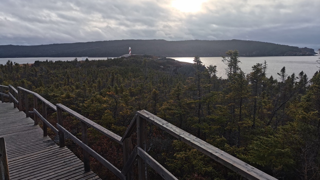 Photo of Others in New Perlican