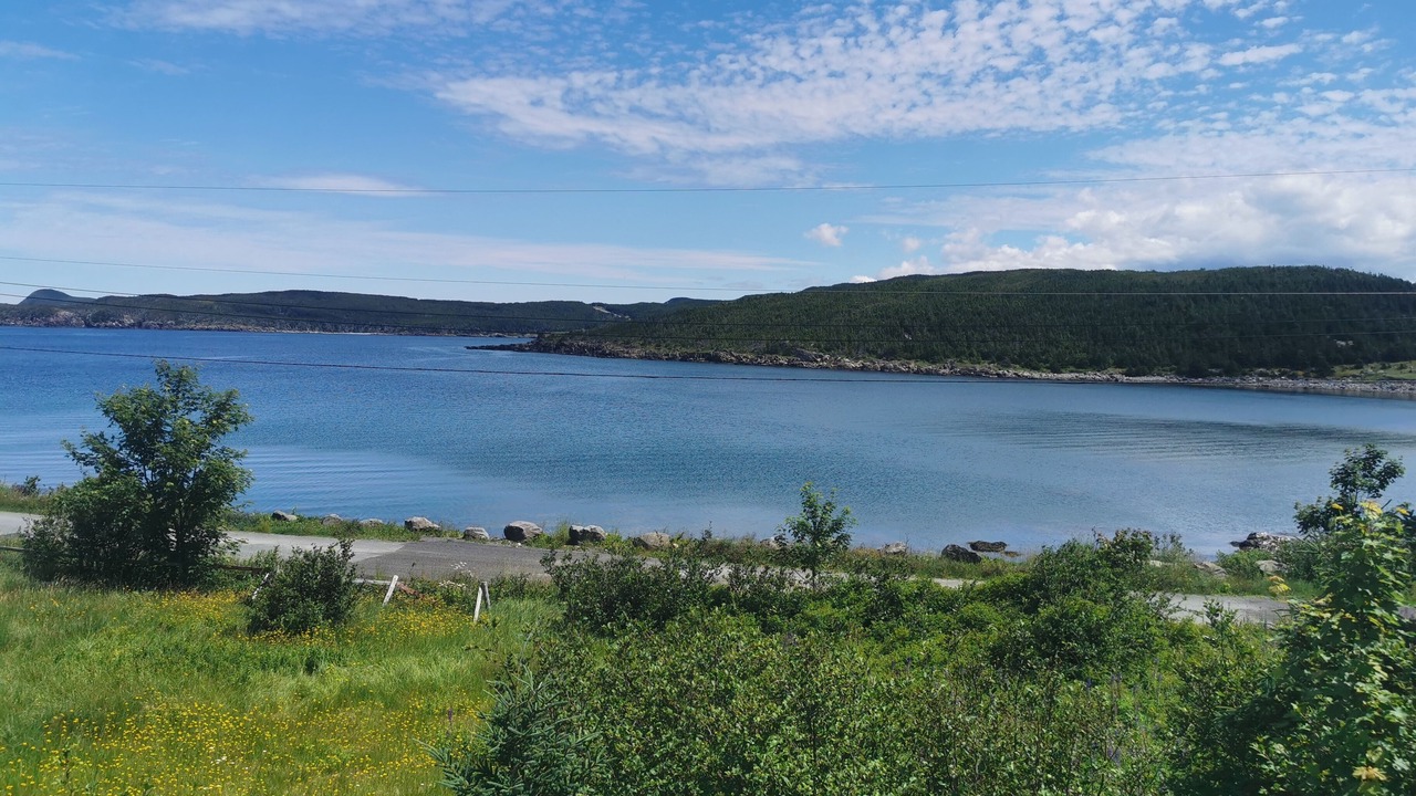 Photo of Others in New Perlican