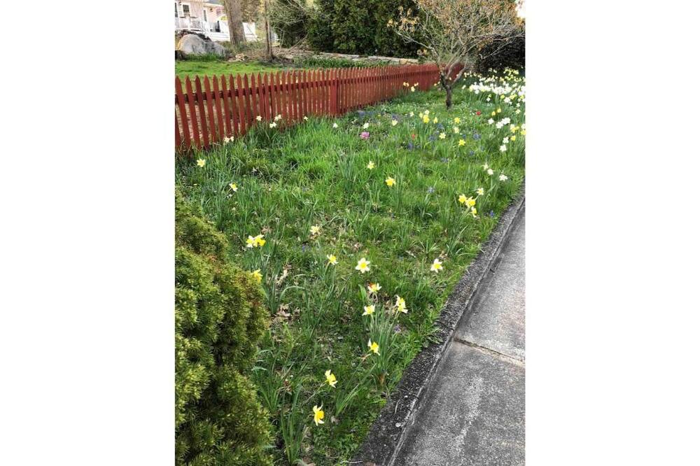 Photo of Outdoor in West Mystic