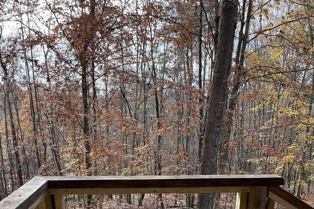 Photo of Outdoor in Andersonville