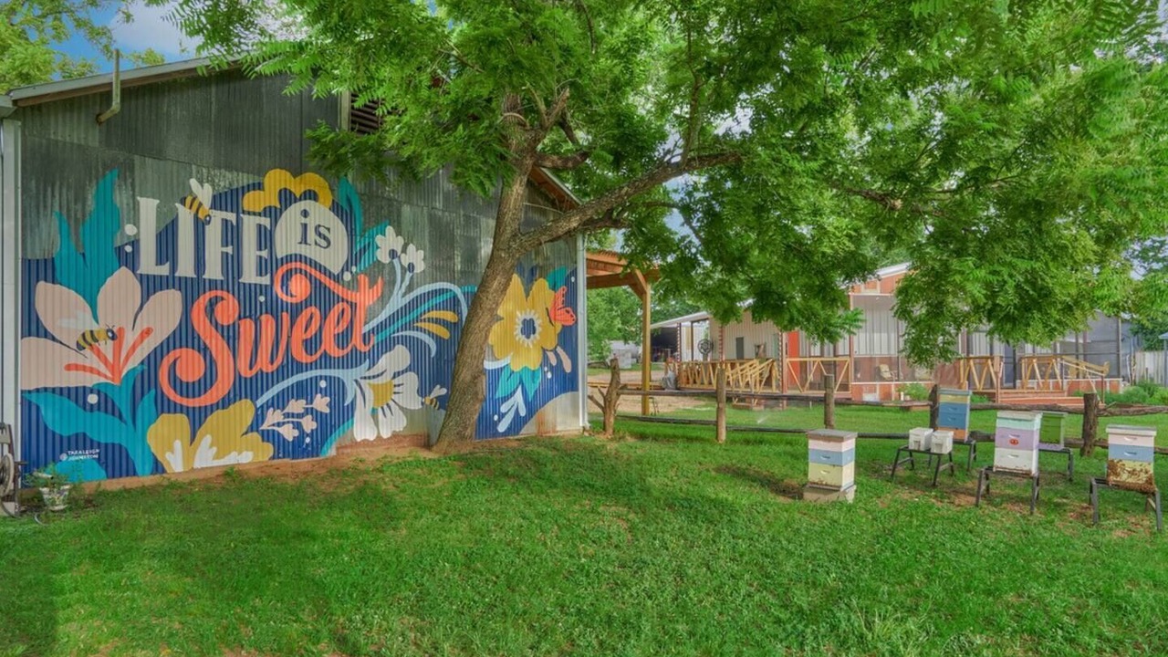 Photo of Outdoor in Navasota