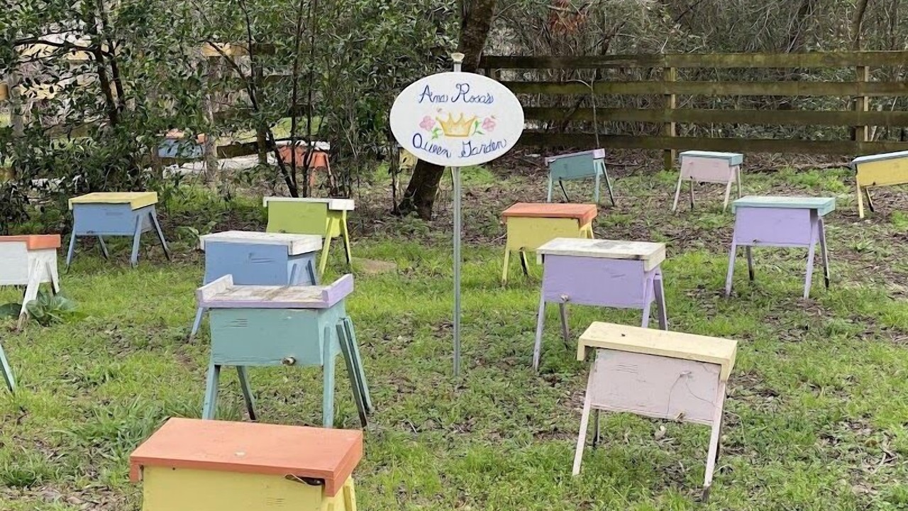 Photo of Outdoor in Navasota