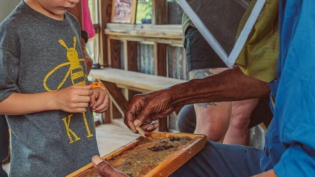 Photo of Others in Navasota