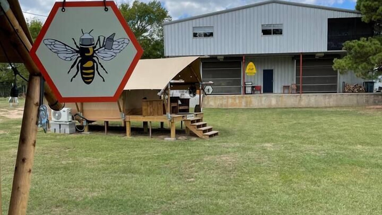 Photo of Outdoor in Navasota