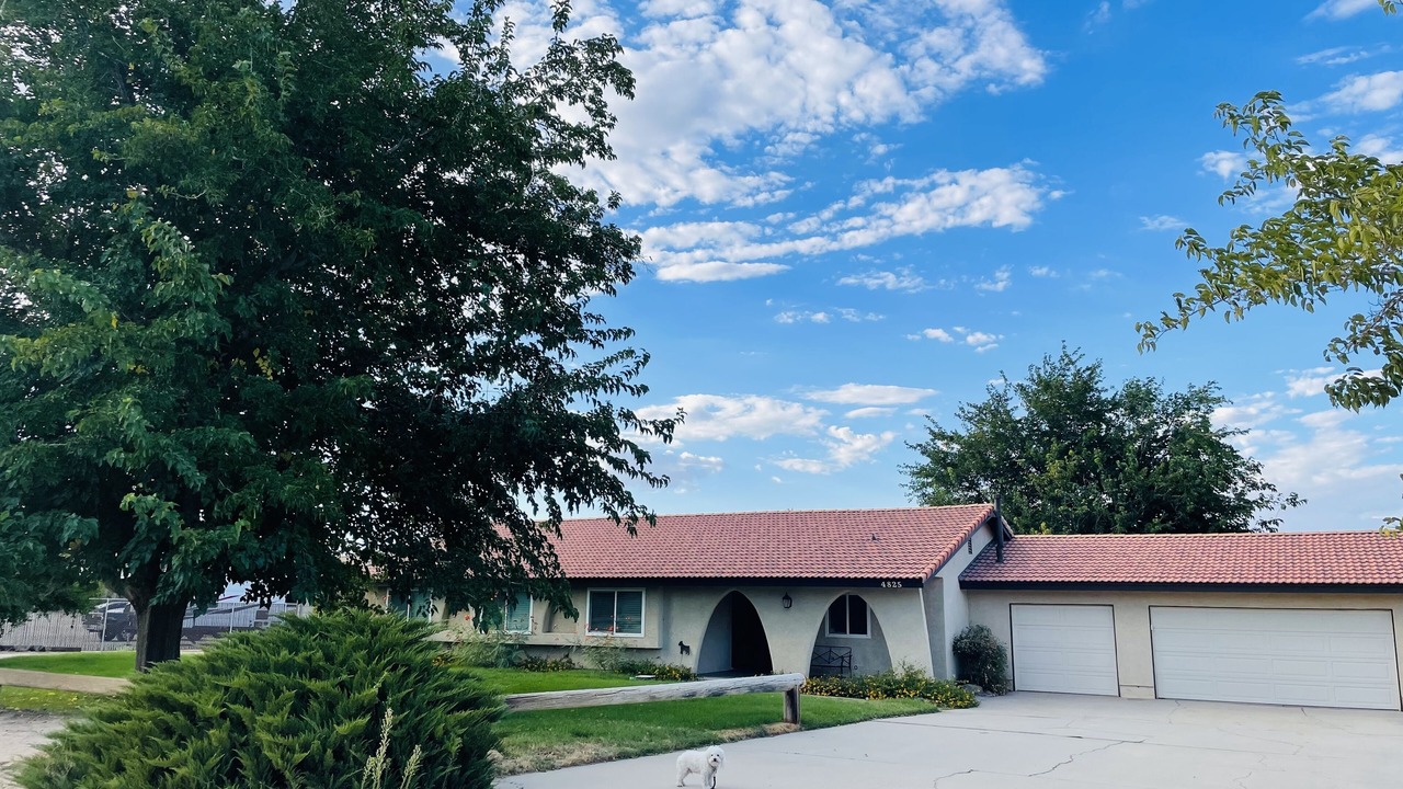 Photo of Outdoor in Quartz Hill