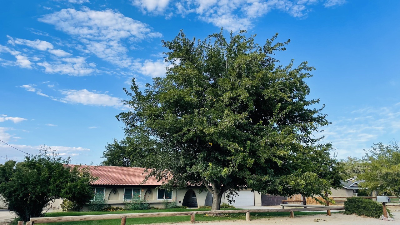 Photo of Outdoor in Quartz Hill