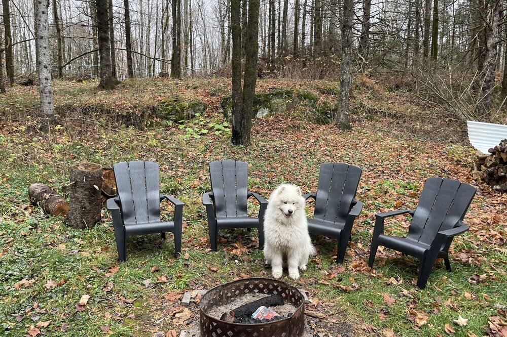 Photo of Outdoor in St-Ferdinand