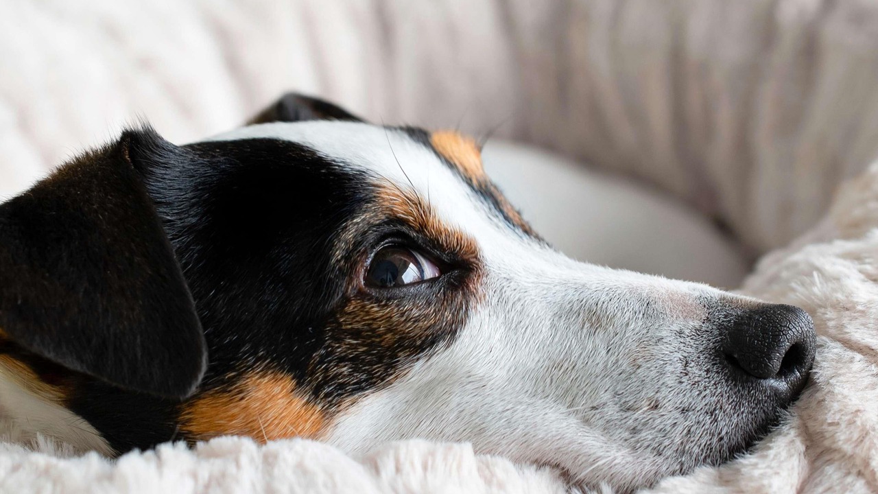 Photo of Others in Chambray-les-Tours