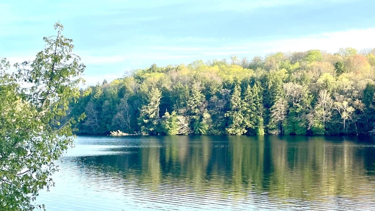 Photo of Outdoor in Utterson