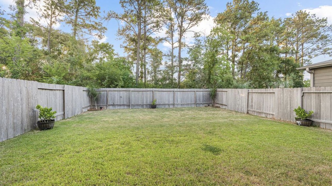 Photo of Outdoor in Houston