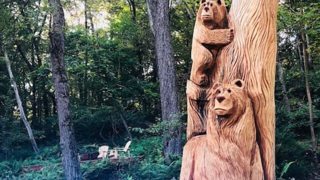 Photo of Outdoor in Layton