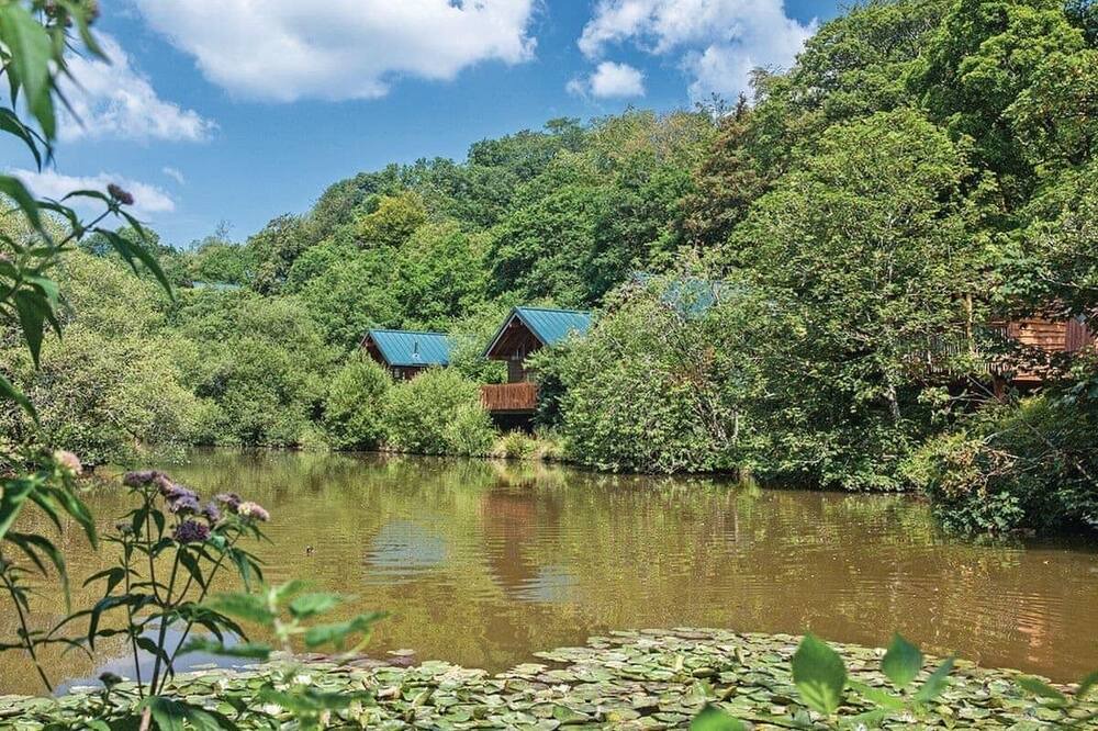 Photo of Others in Herodsfoot