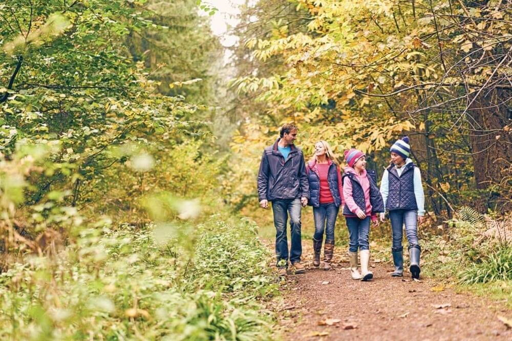 Photo of Others in Lydney