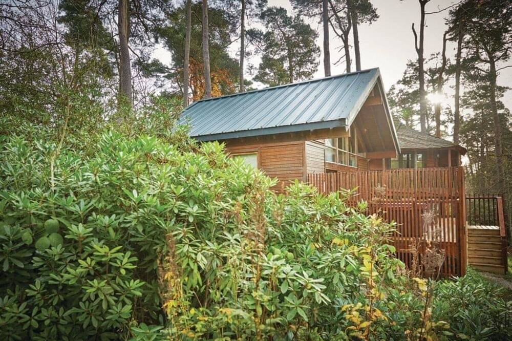 Photo of Others in Pickering