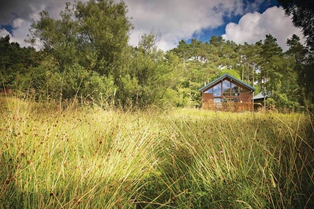 Photo of Others in Pickering