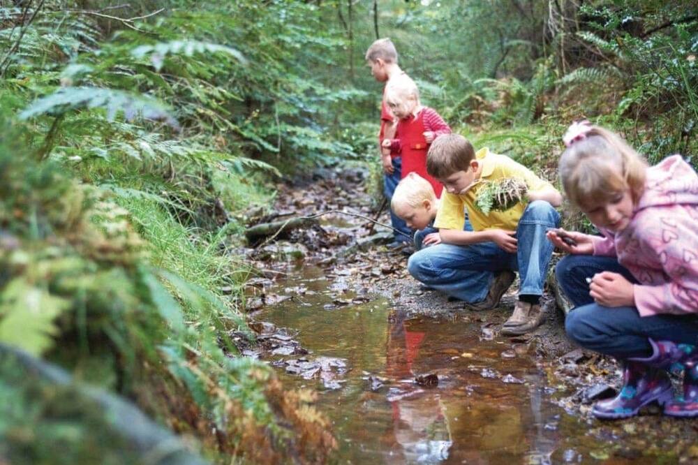 Photo of Others in Pickering