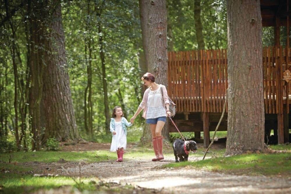 Photo of Others in Pickering