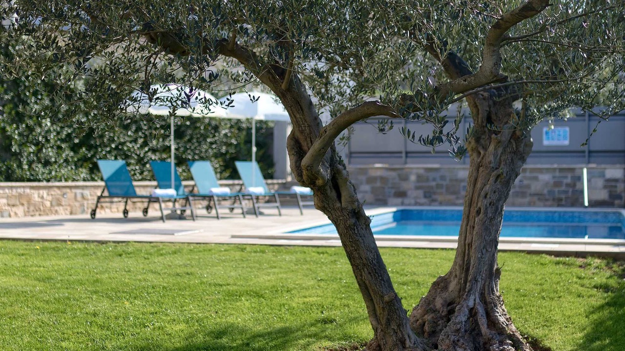 Photo of Outdoor in Skropeti